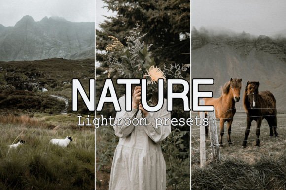 Download 9 Nature Mobile Lightroom Presets - Mobile Collection